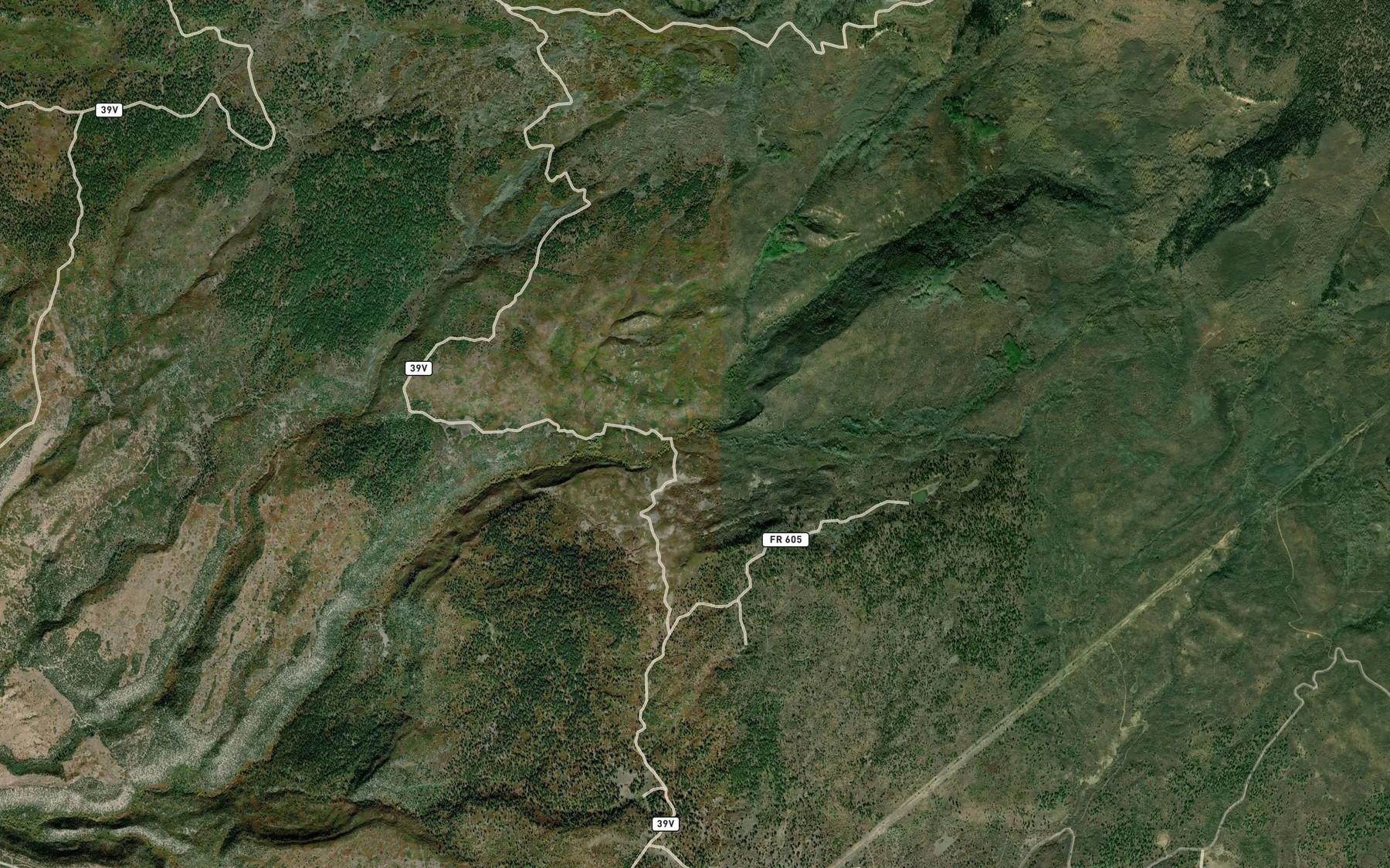 Satellite map of the South Fork Cottonwood Creek