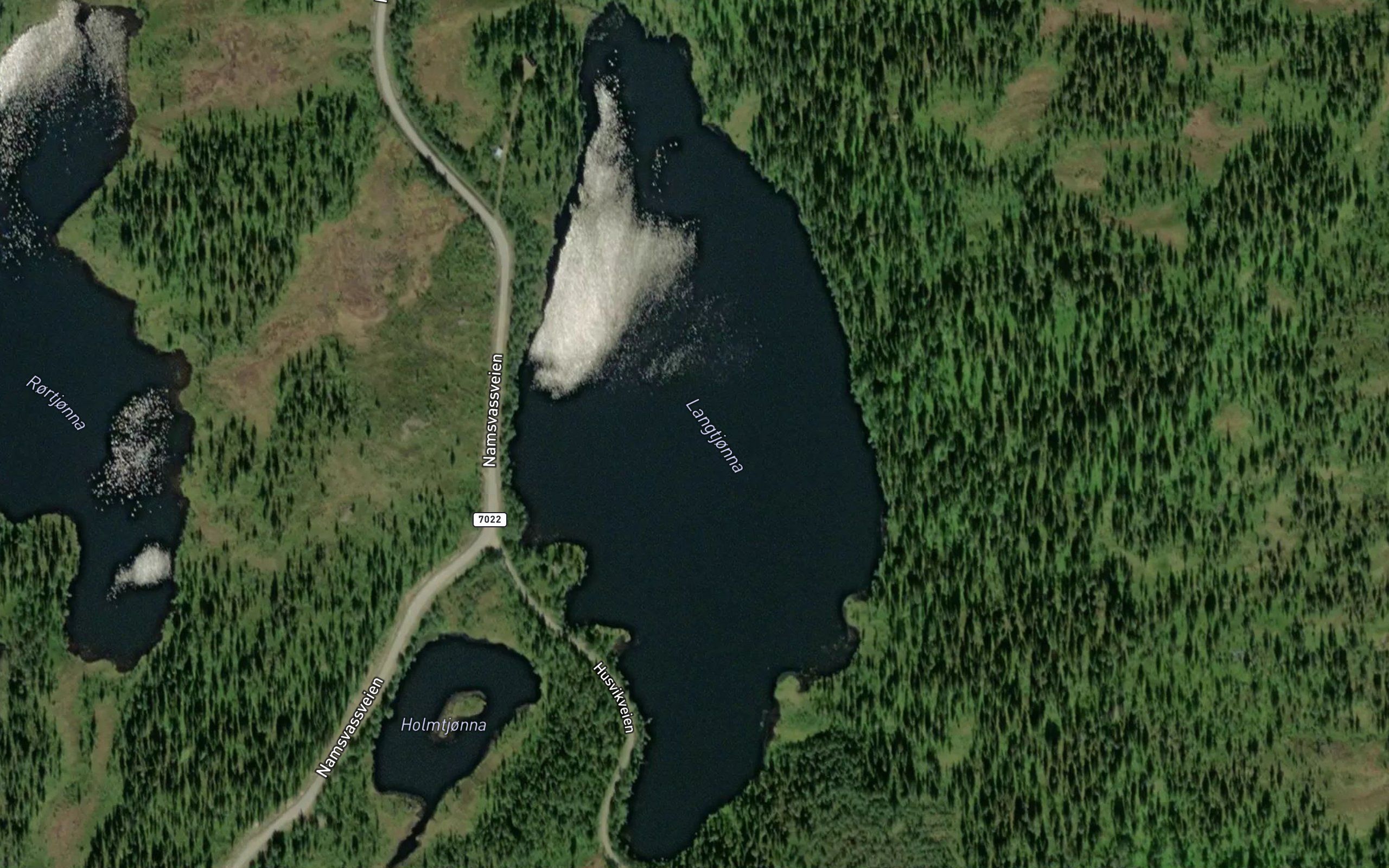 Langtjonna