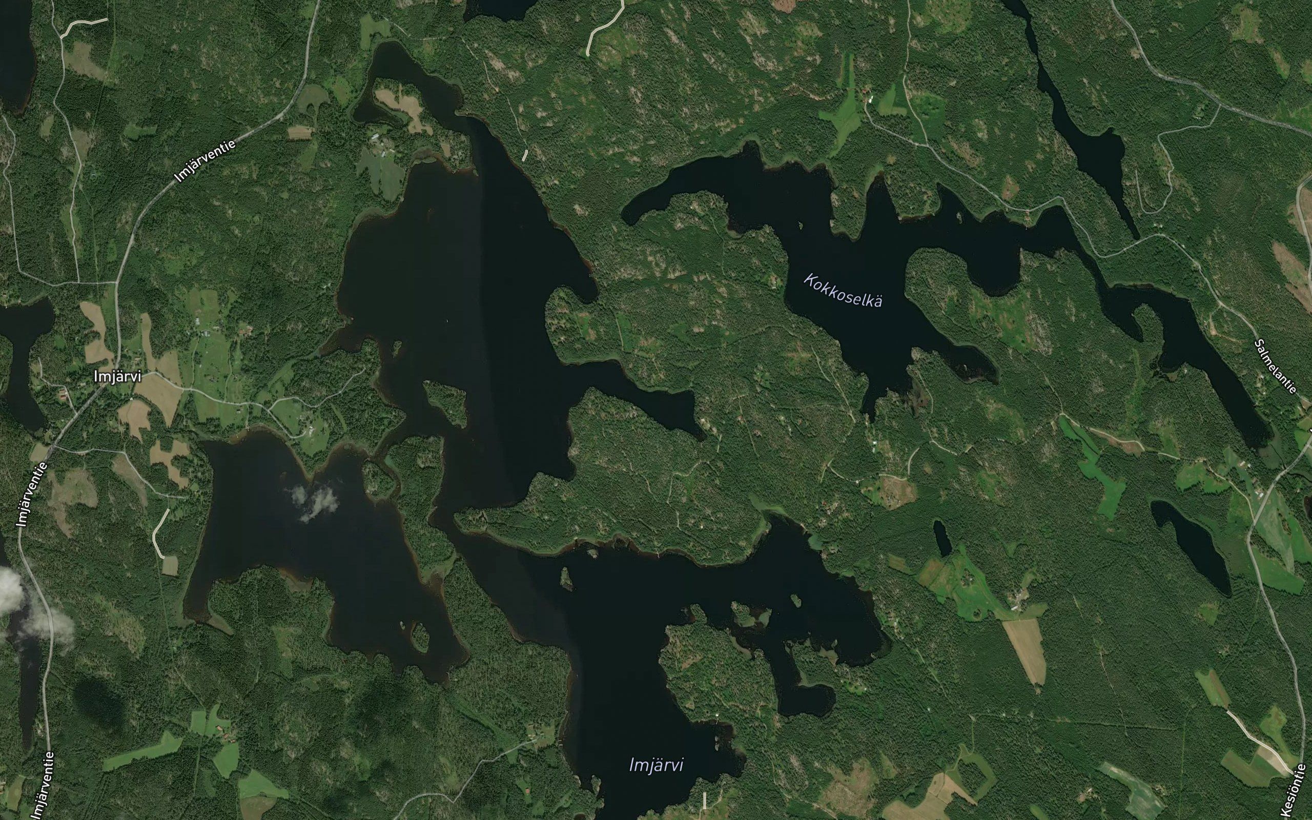 Piispanlahti