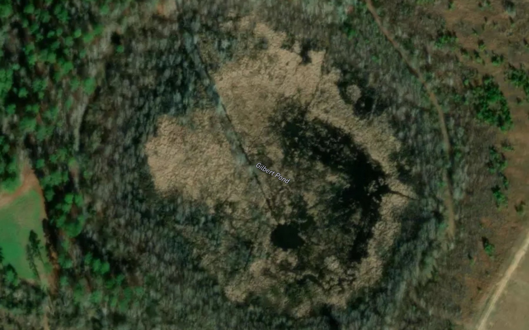 Satellite map of the Gilbert Pond