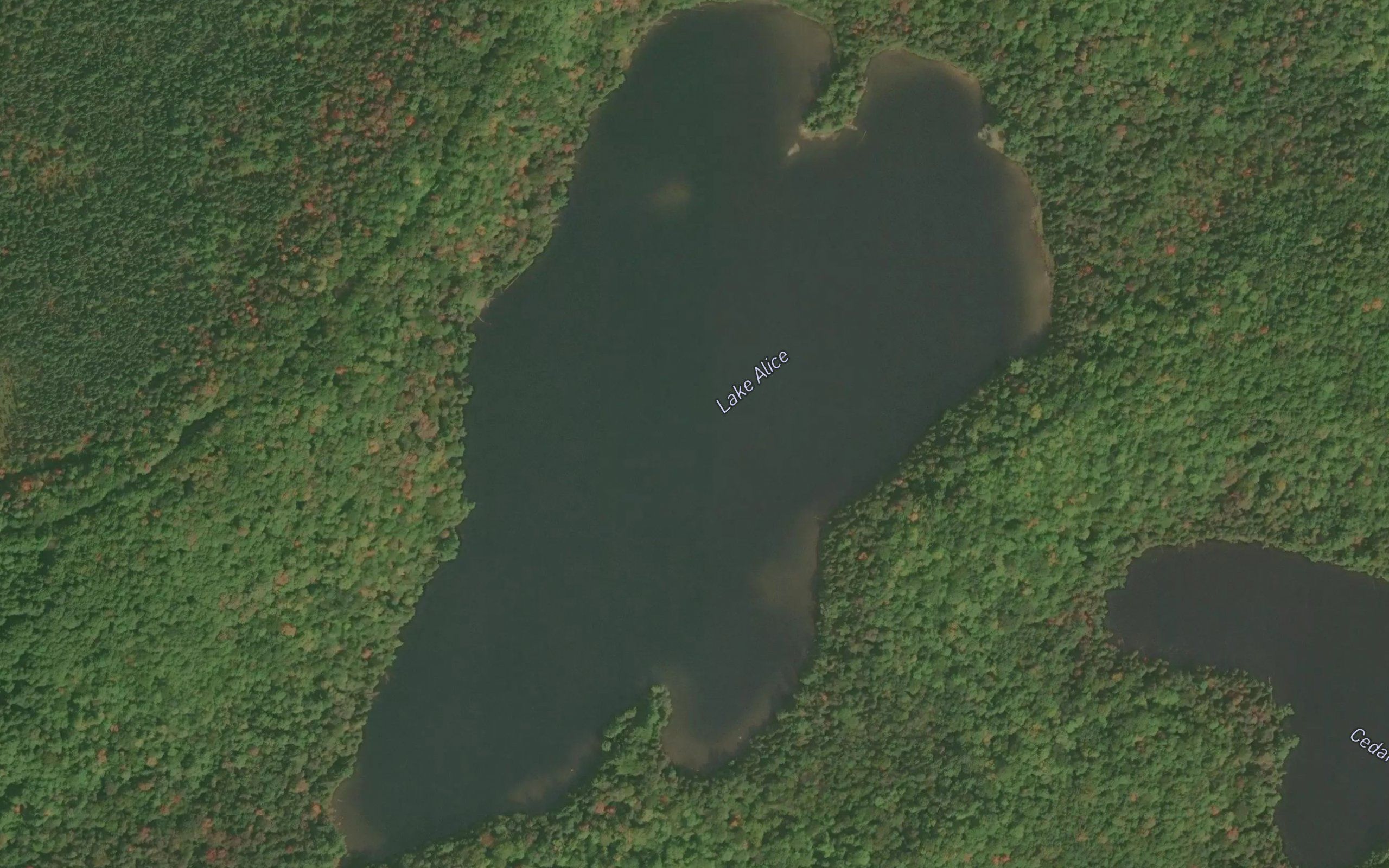 Lake Alice