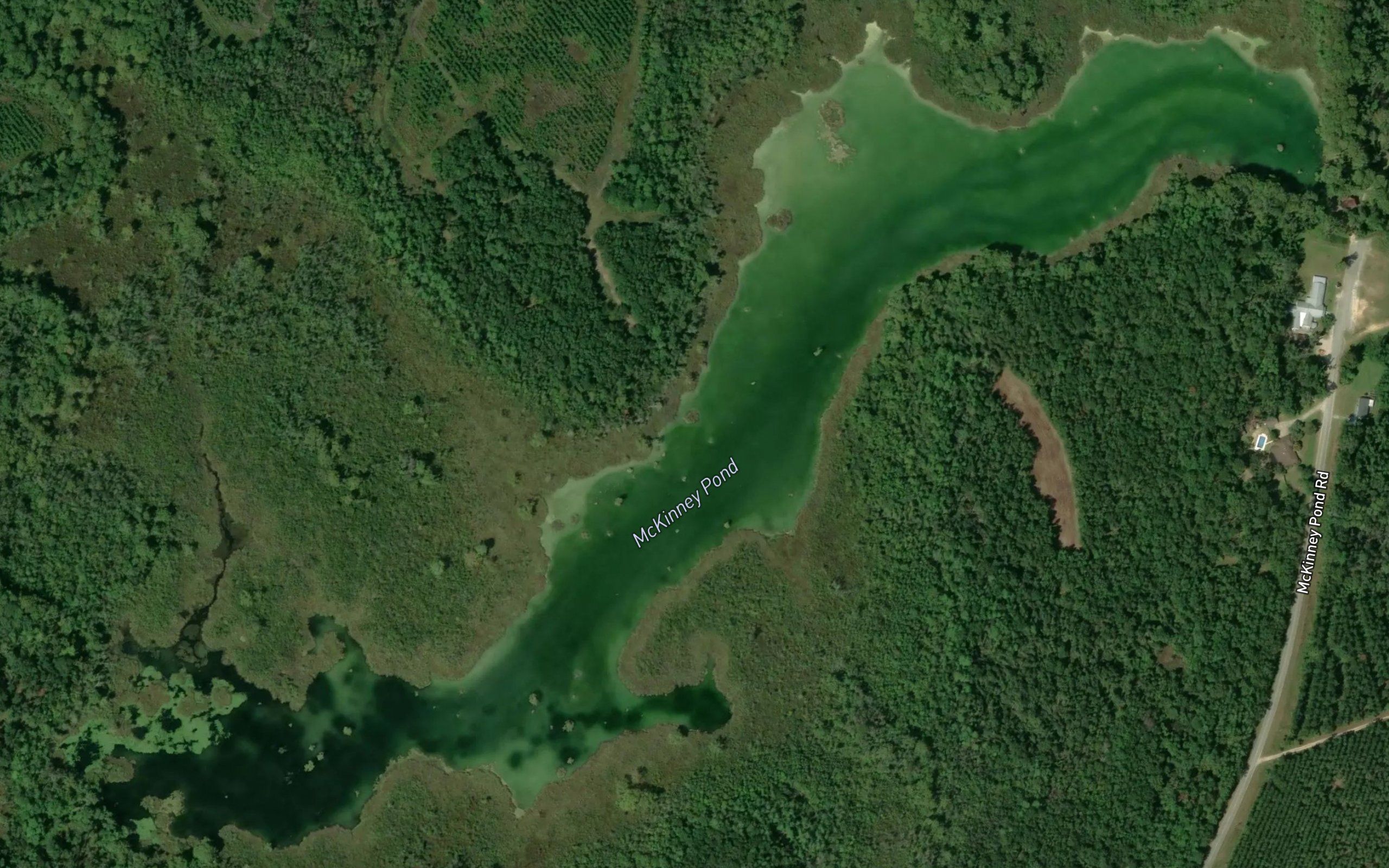 McKinney Pond