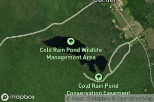 Cold Rain Pond