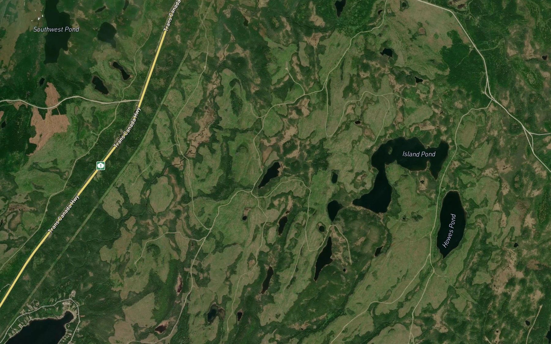 Satellite map of the Eel Pond