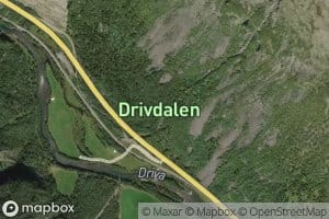 Ristjornbekken