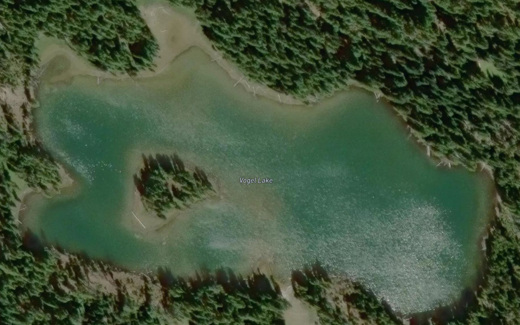 Satellite map of the Vogel Lake