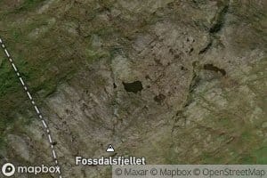 Erktjonna