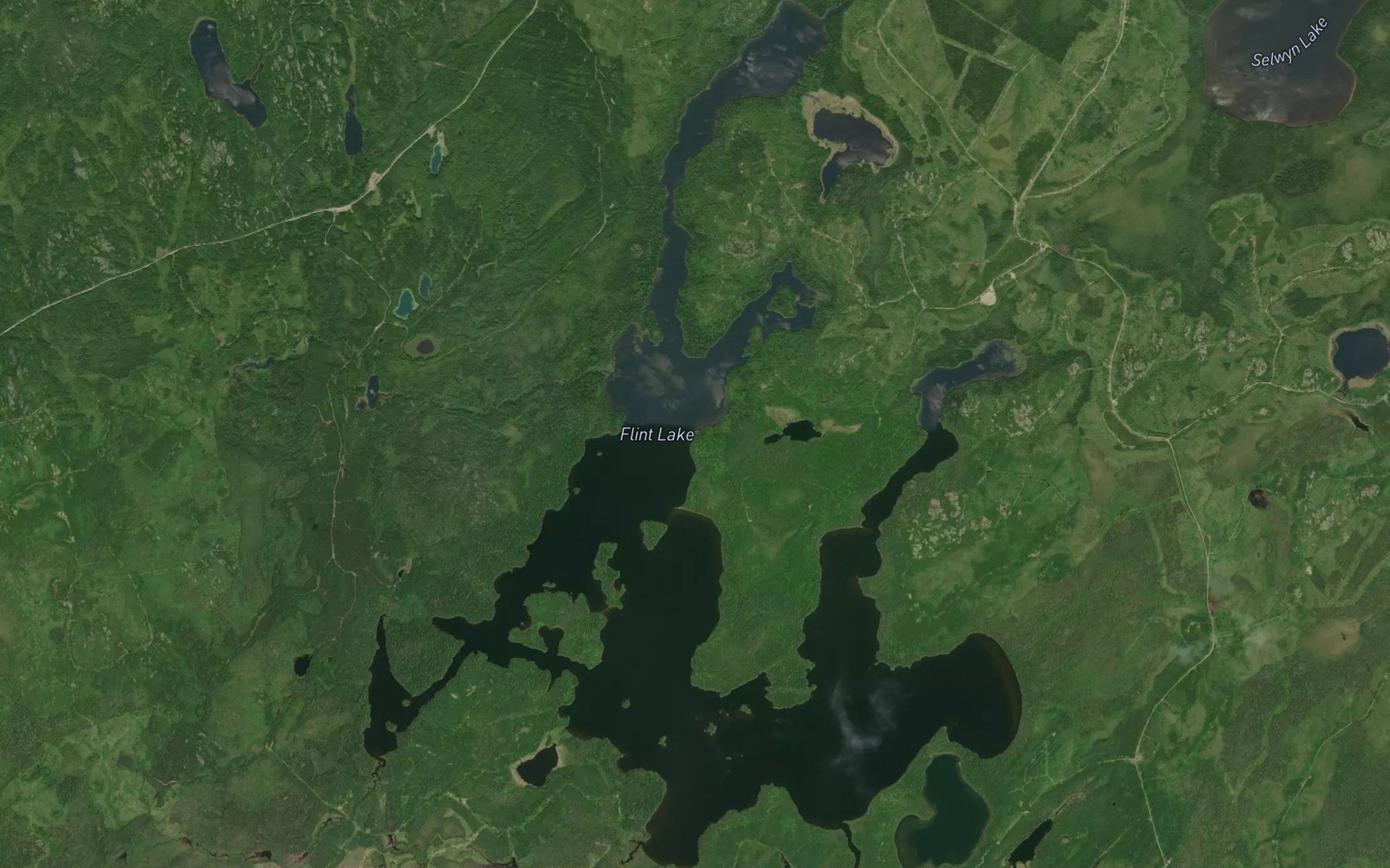 Satellite map of the Flint Lake