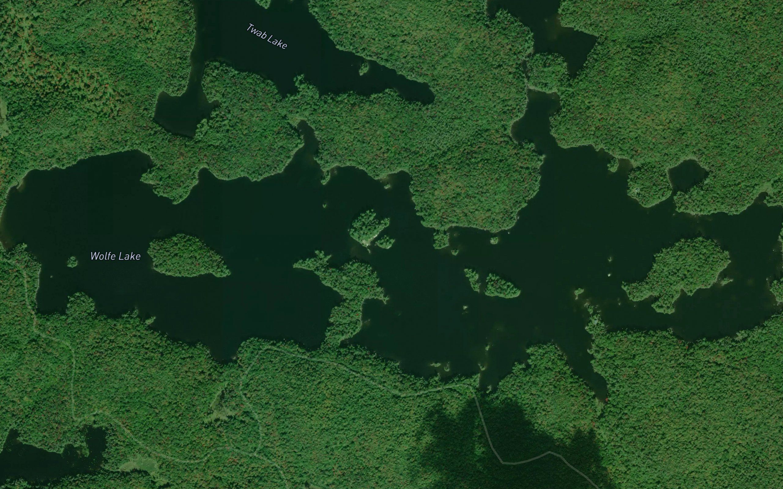 Wolfe Lake