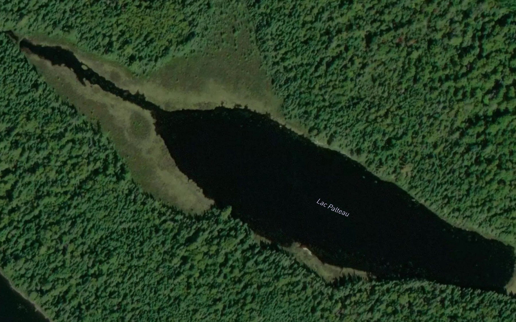 Satellite map of the Lac Palteau