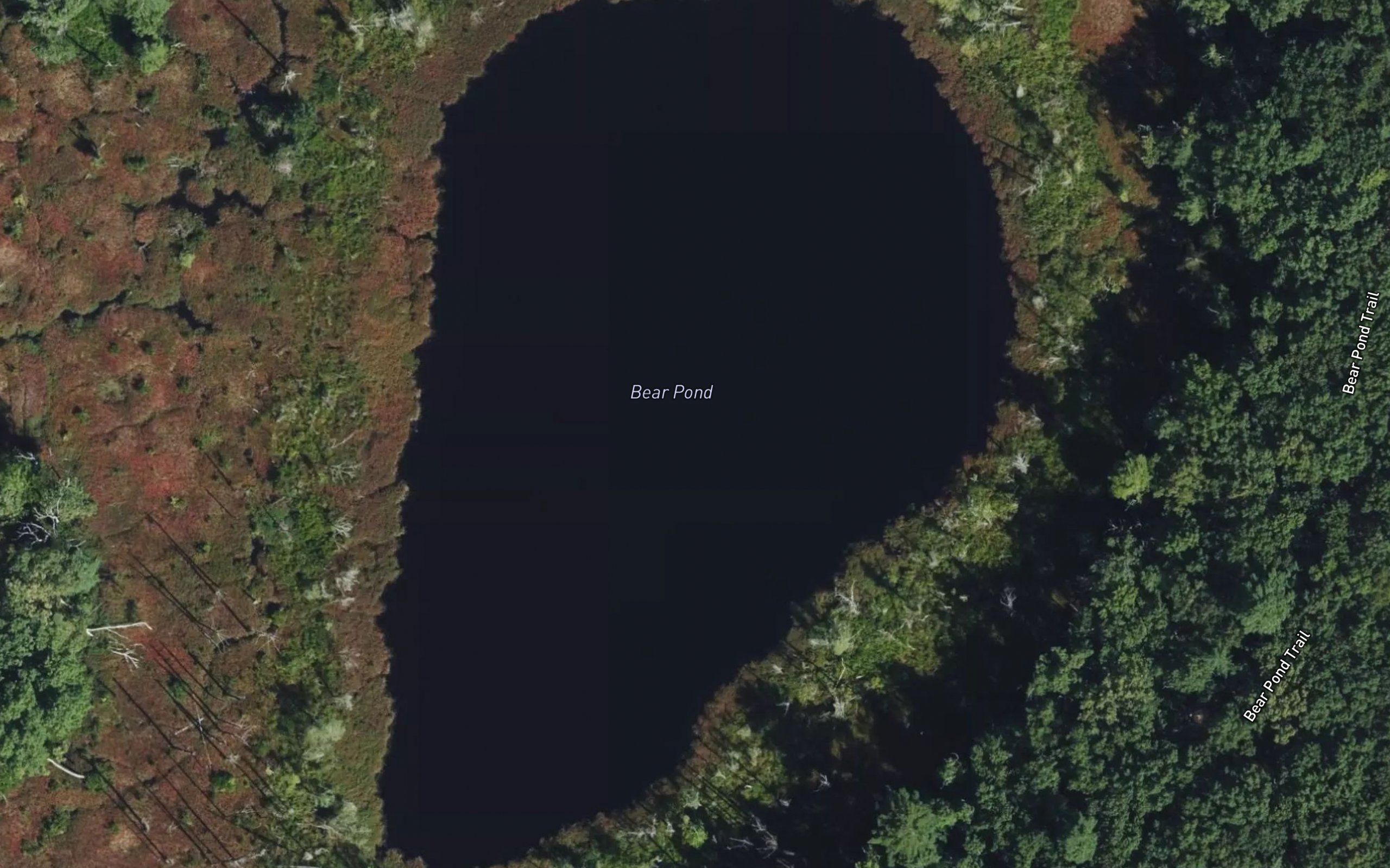 Bear Pond