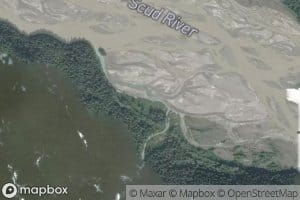 Devils Club Creek