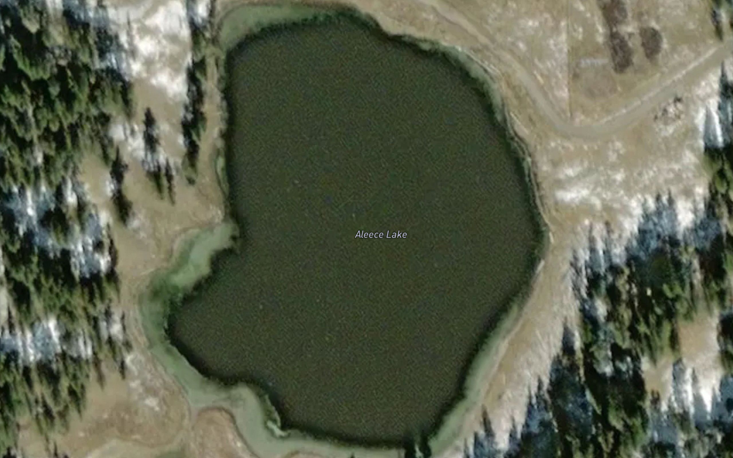 Aleece Lake