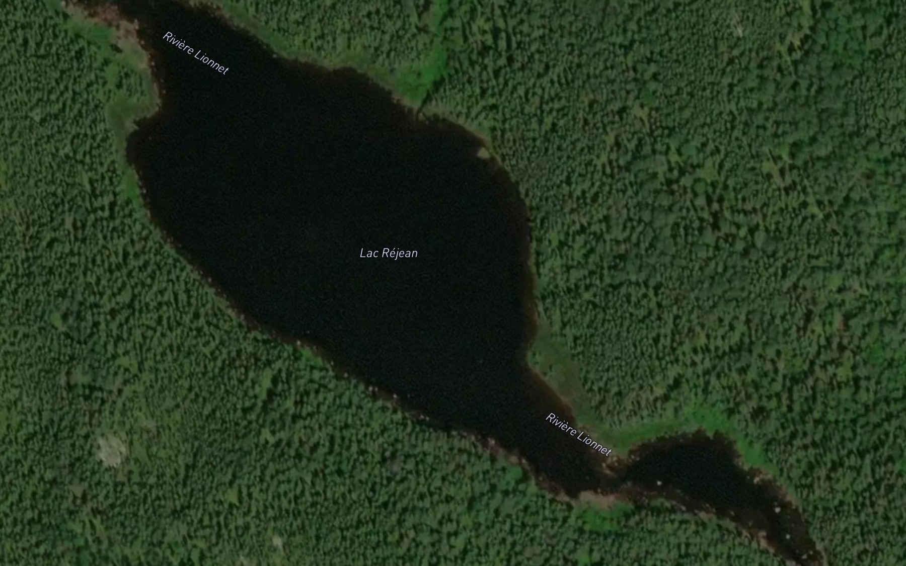Satellite map of the Lac Rejean