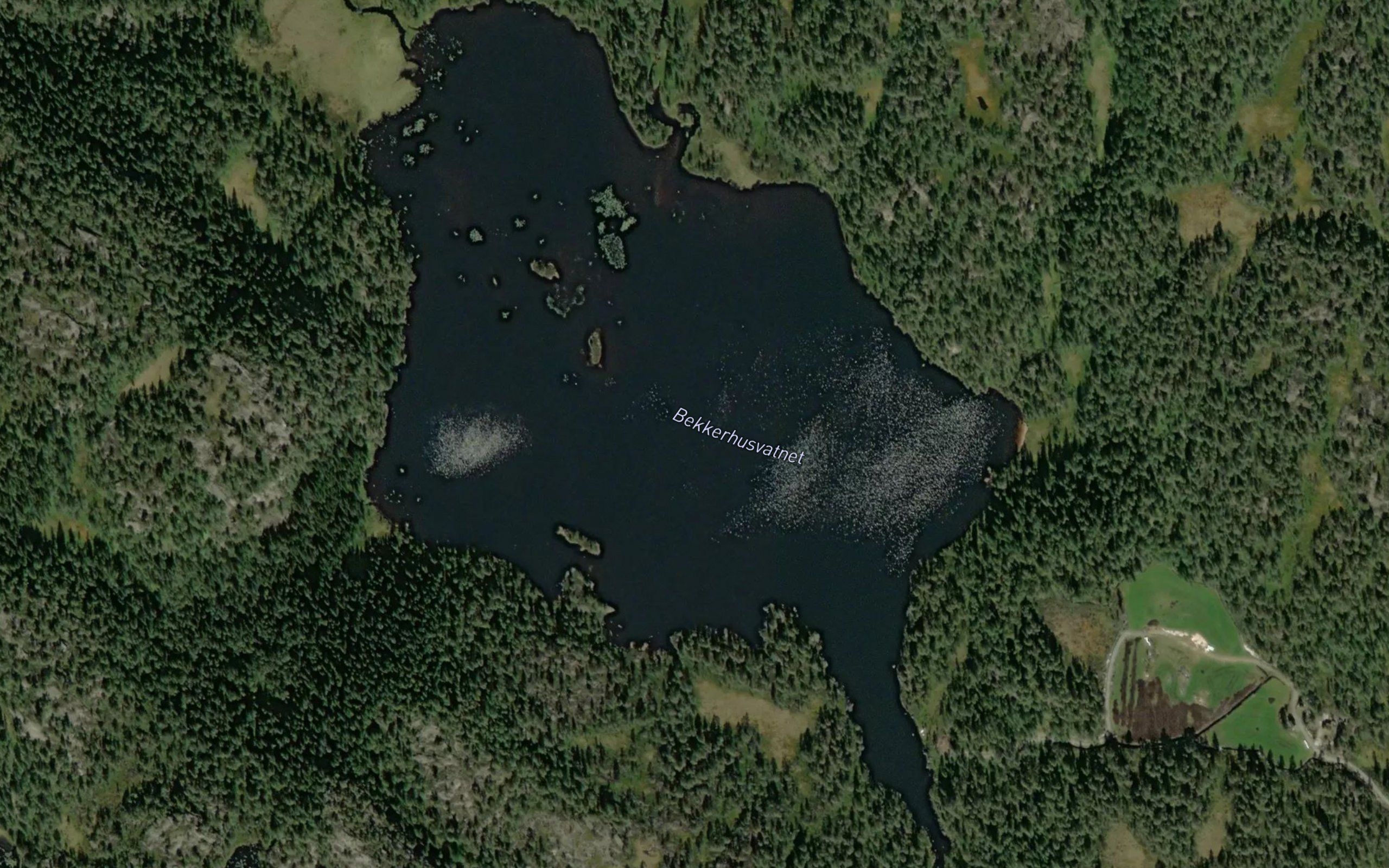 Bekkerhusvatnet