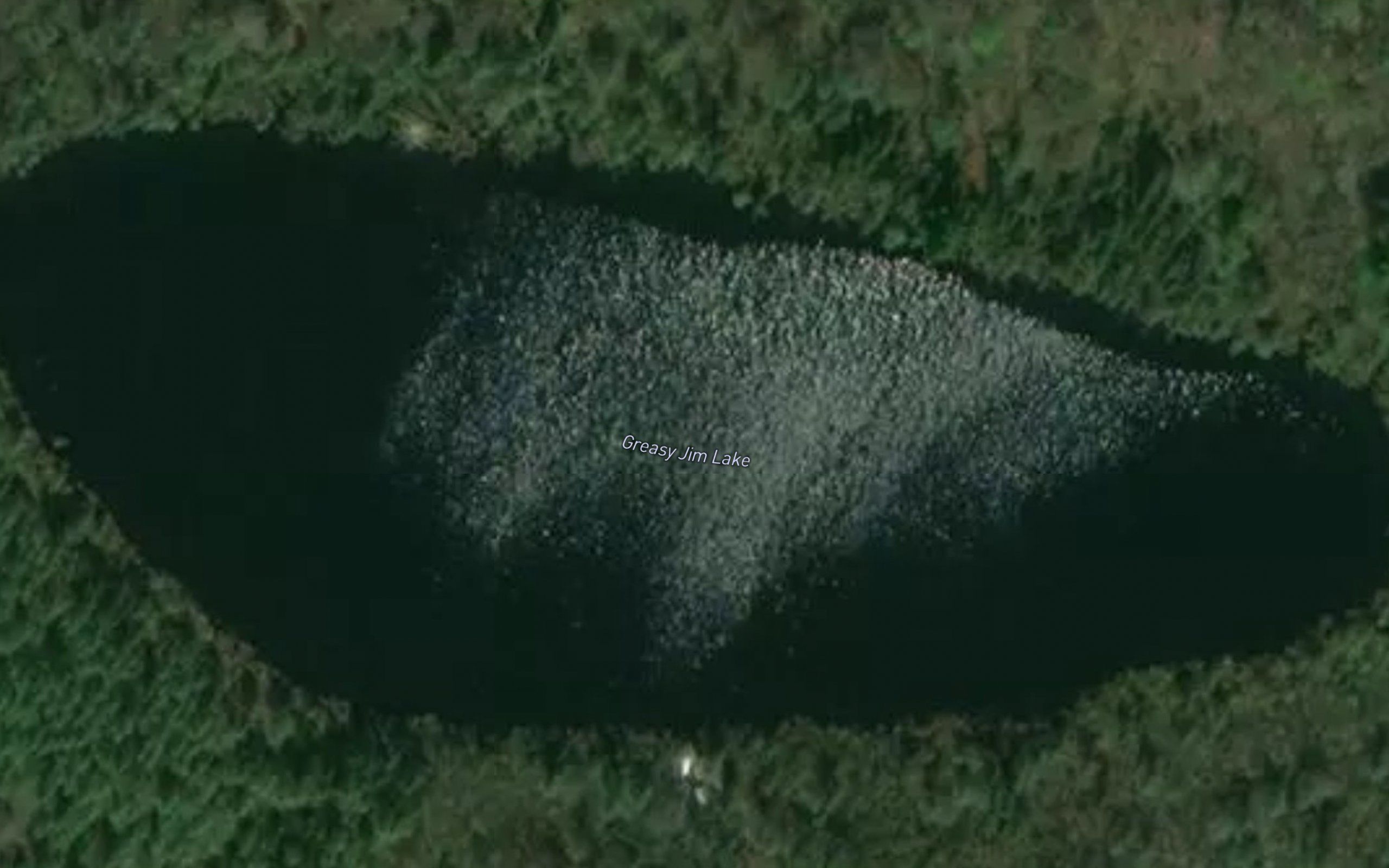 Greasy Jim Lake