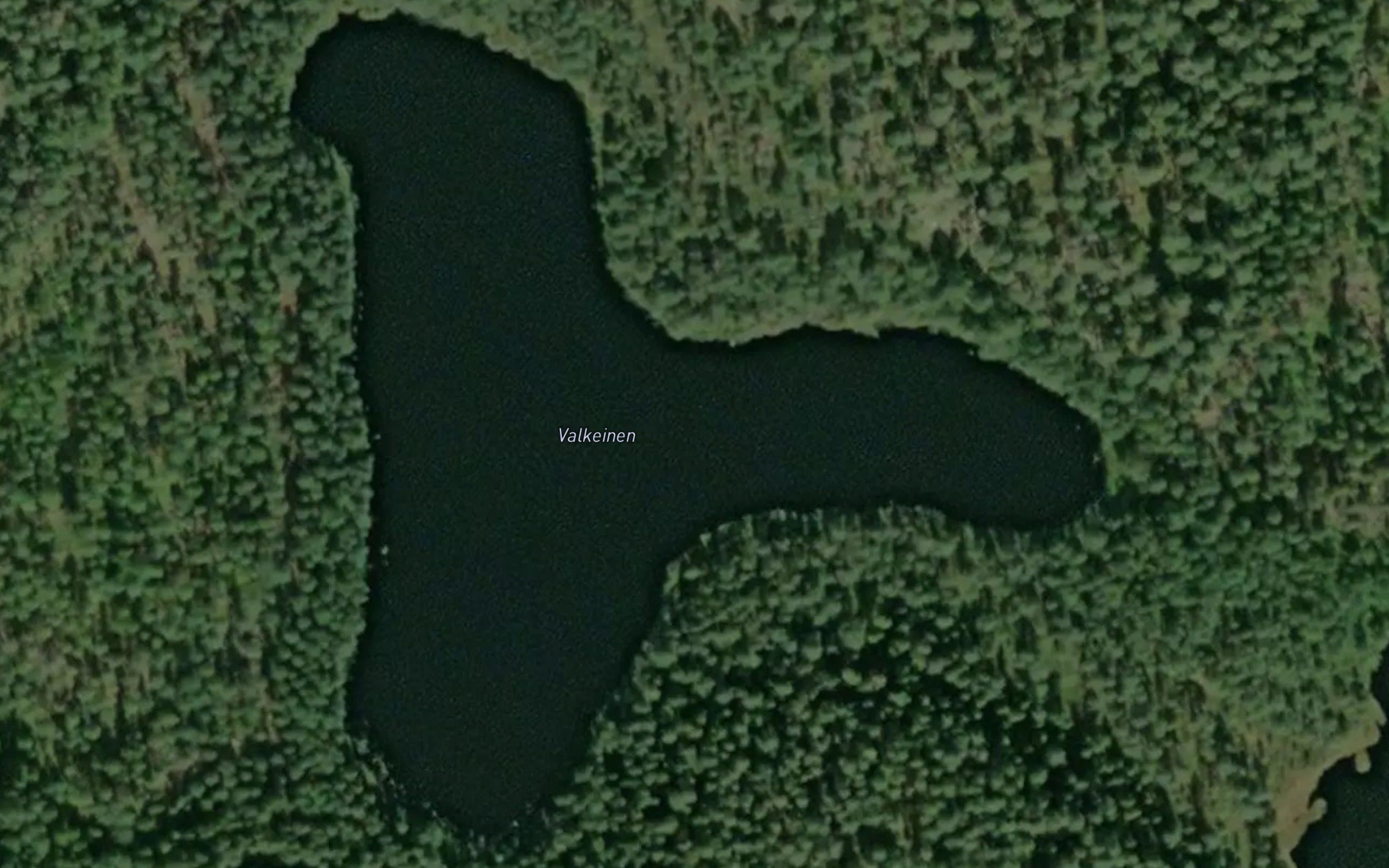 Valkeinen