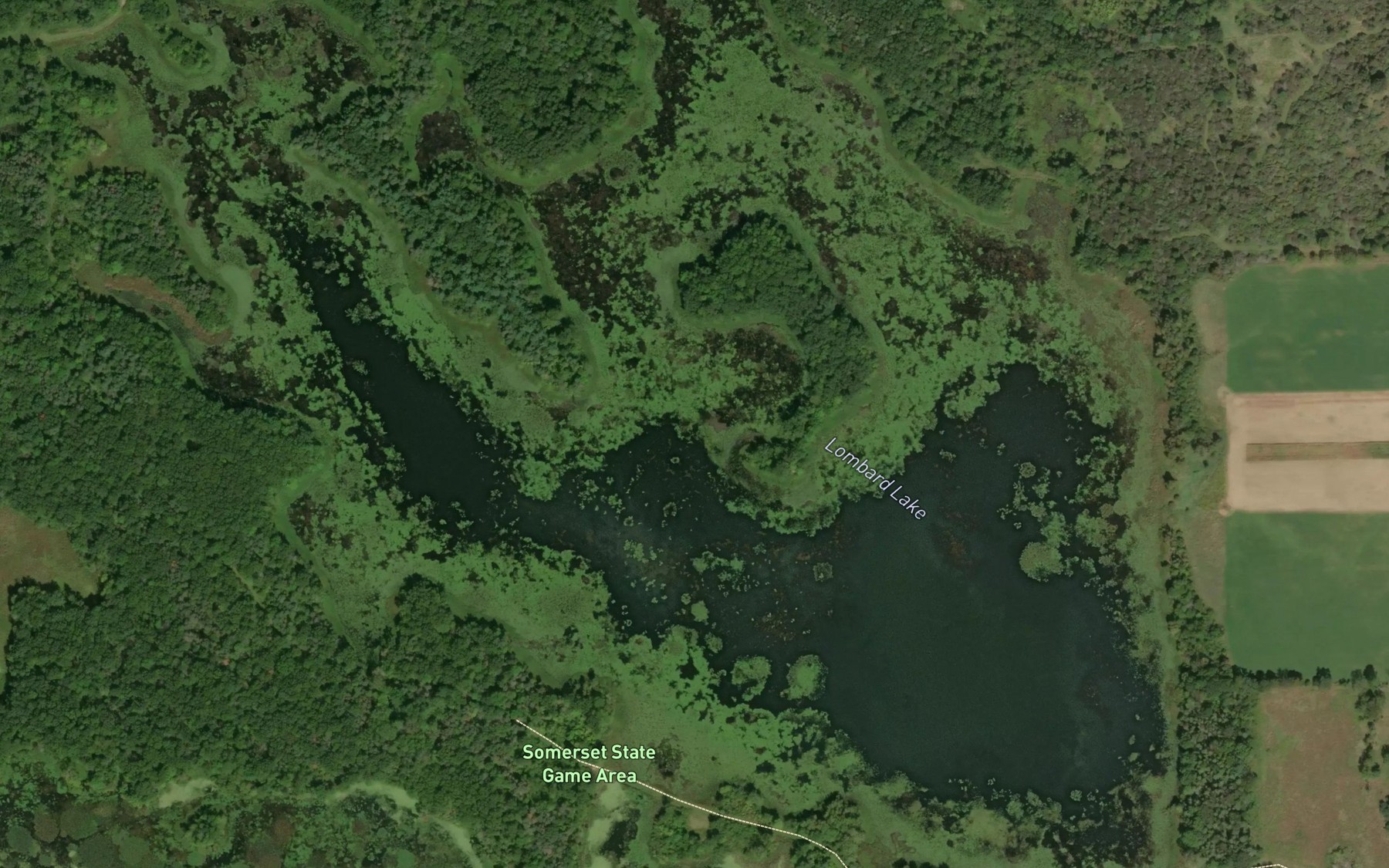 Satellite map of the Lombard Lake