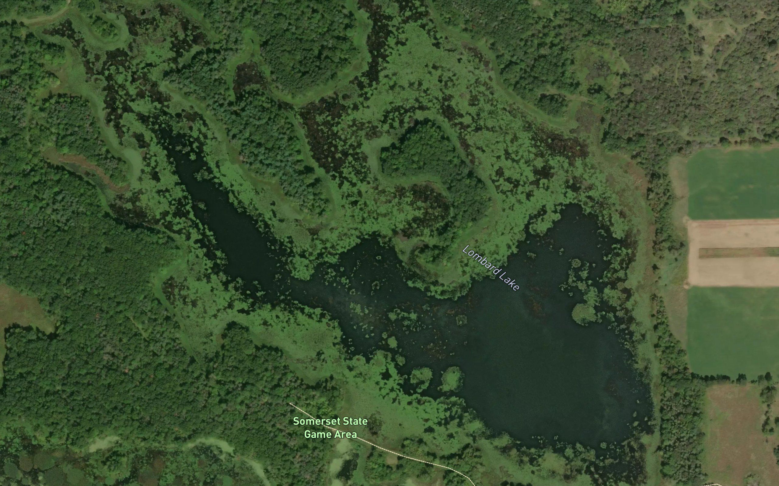 Lombard Lake