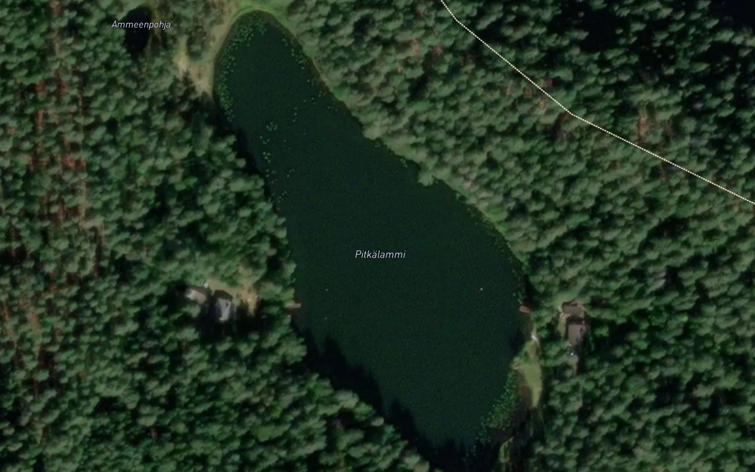 Pitkalammi