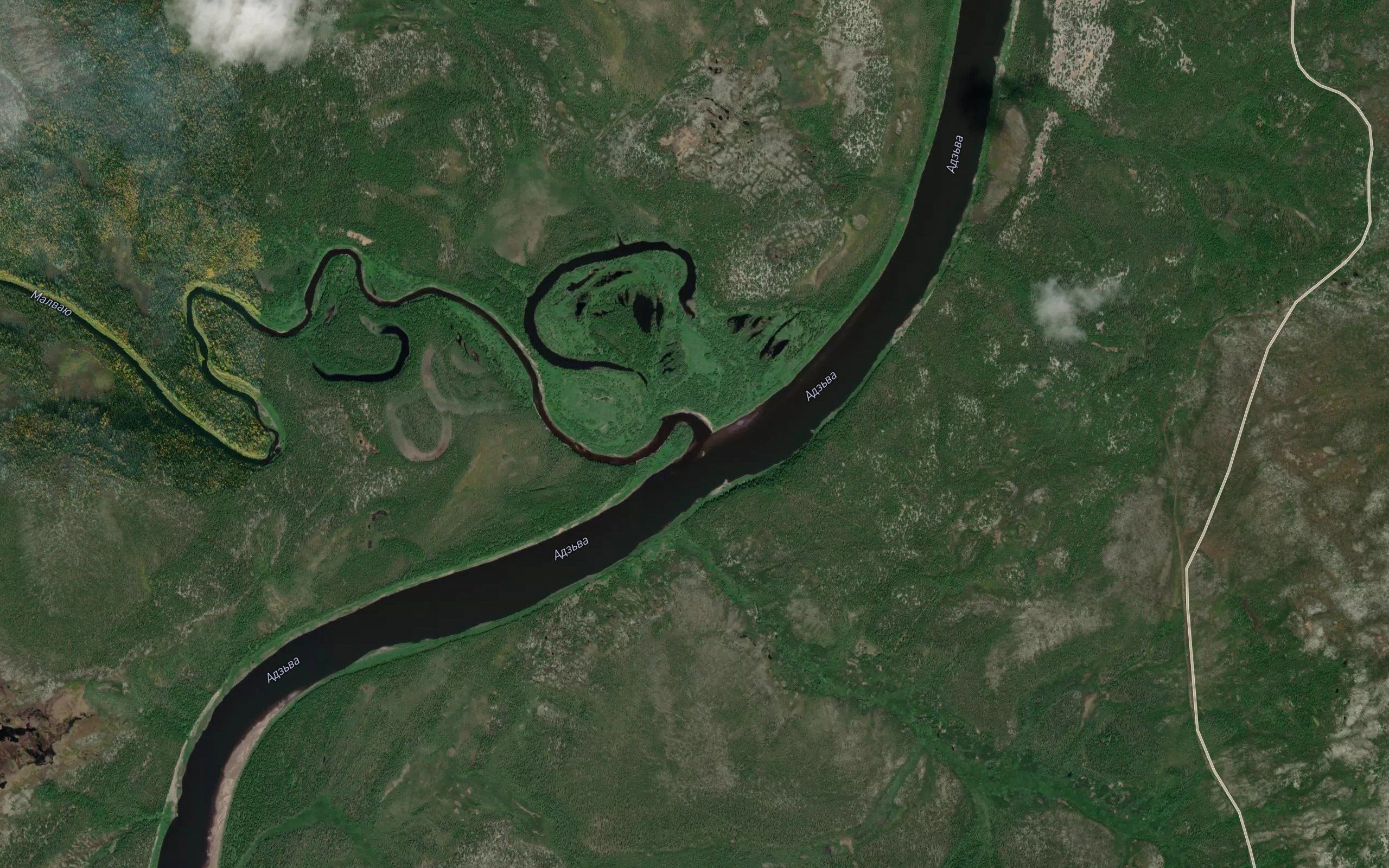 Malvayu
