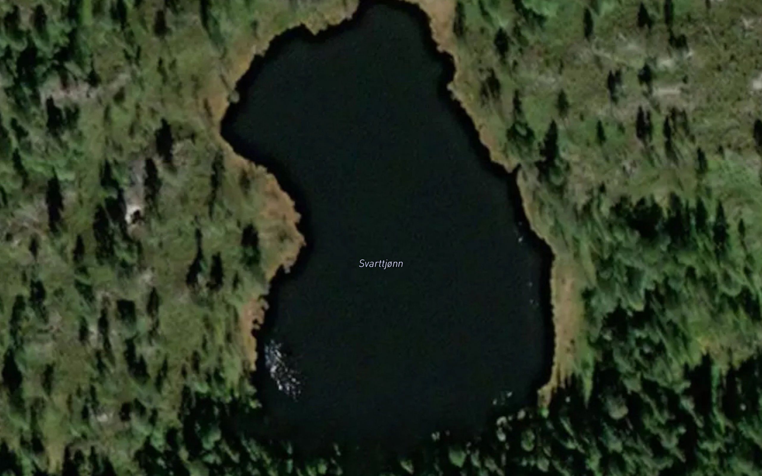 Svarttjonn