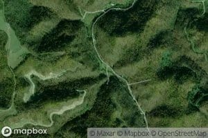 Lower Twin Branch