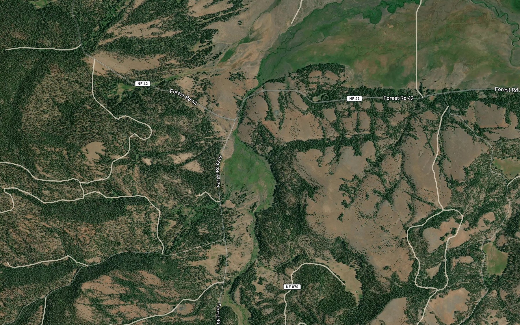 Satellite map of the Lookout Creek