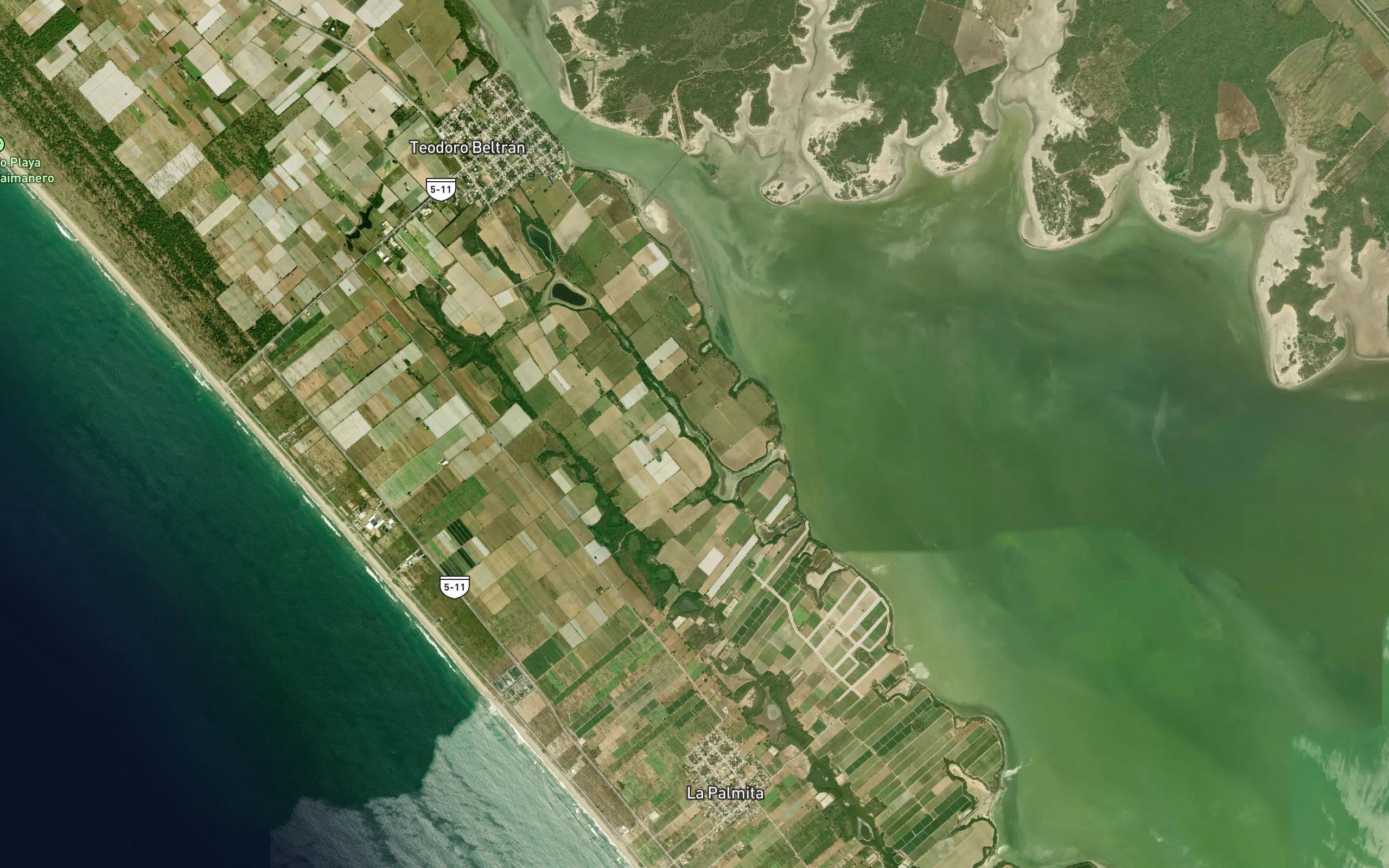 Estero Canada de la Presita