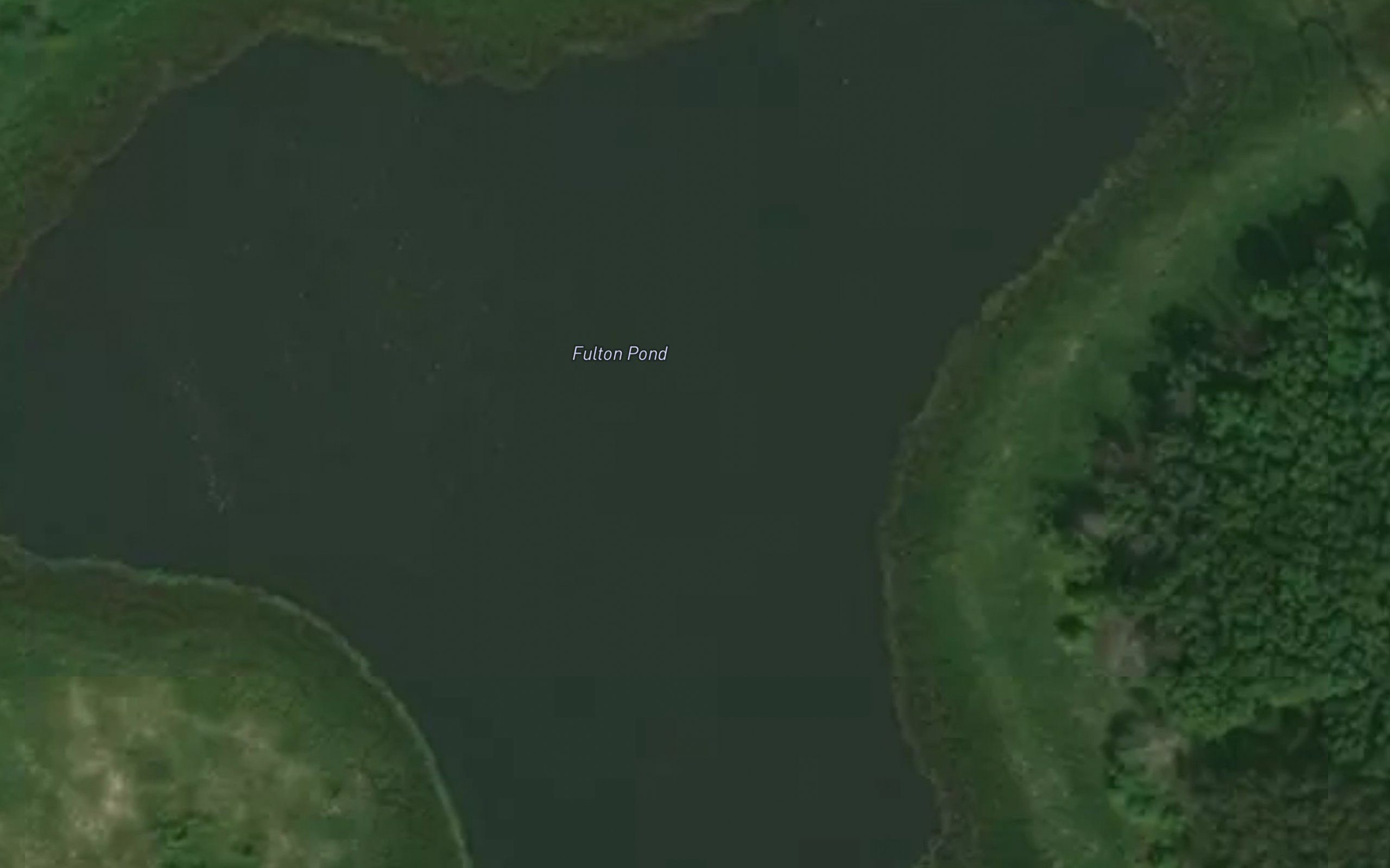 Fulton Pond