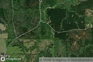 Gin Creek
