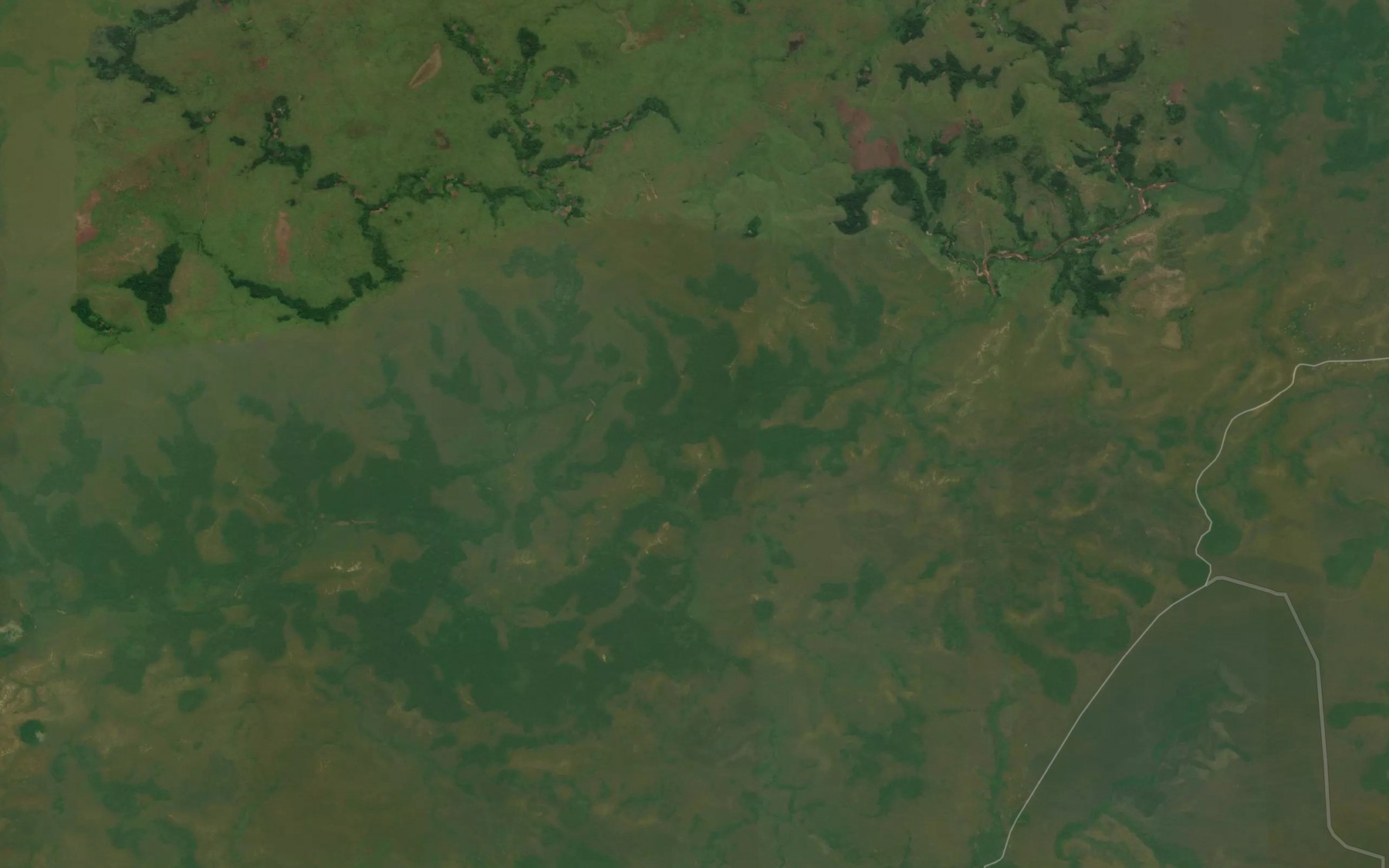Satellite map of the Nguina