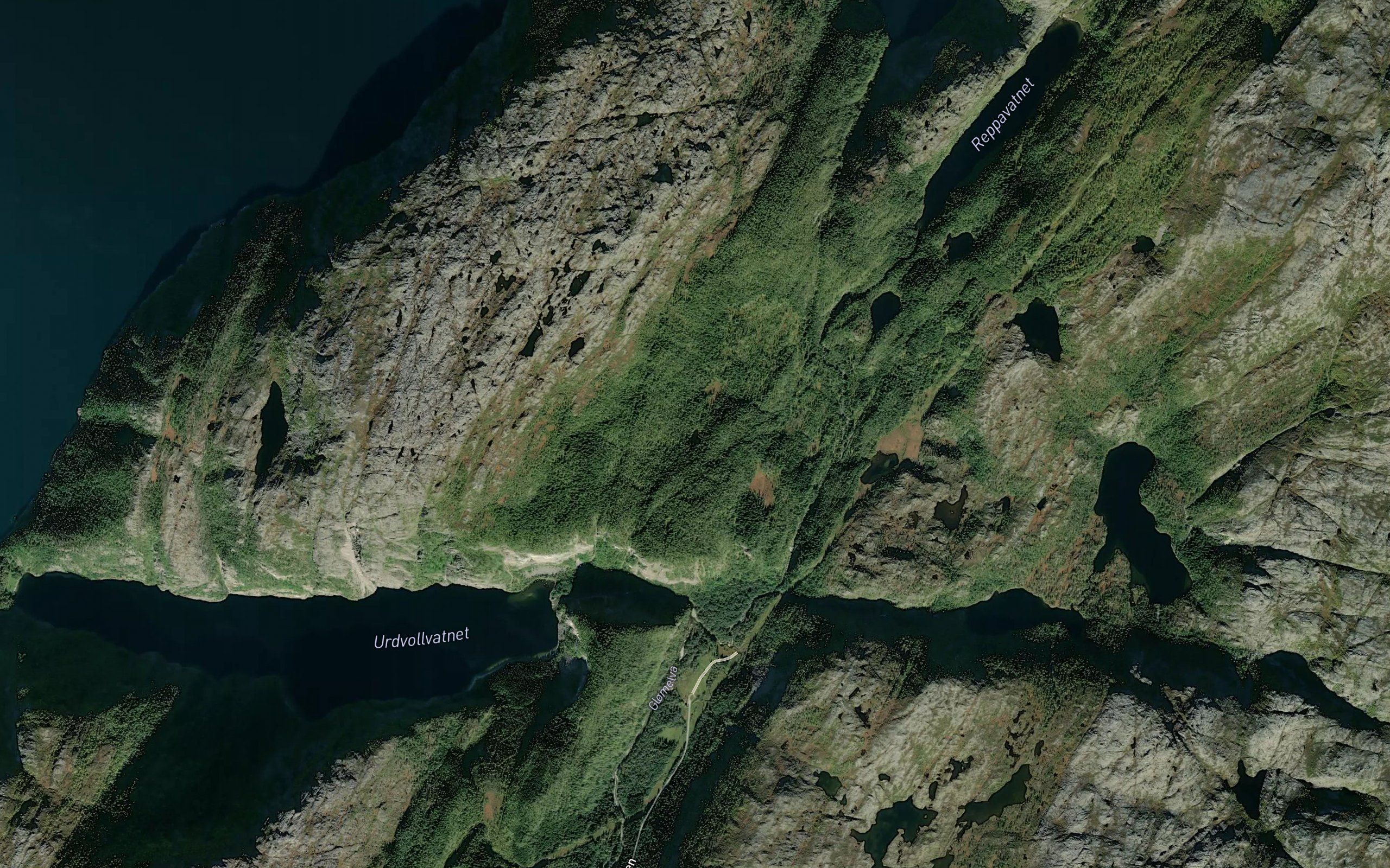 Svarttjonna
