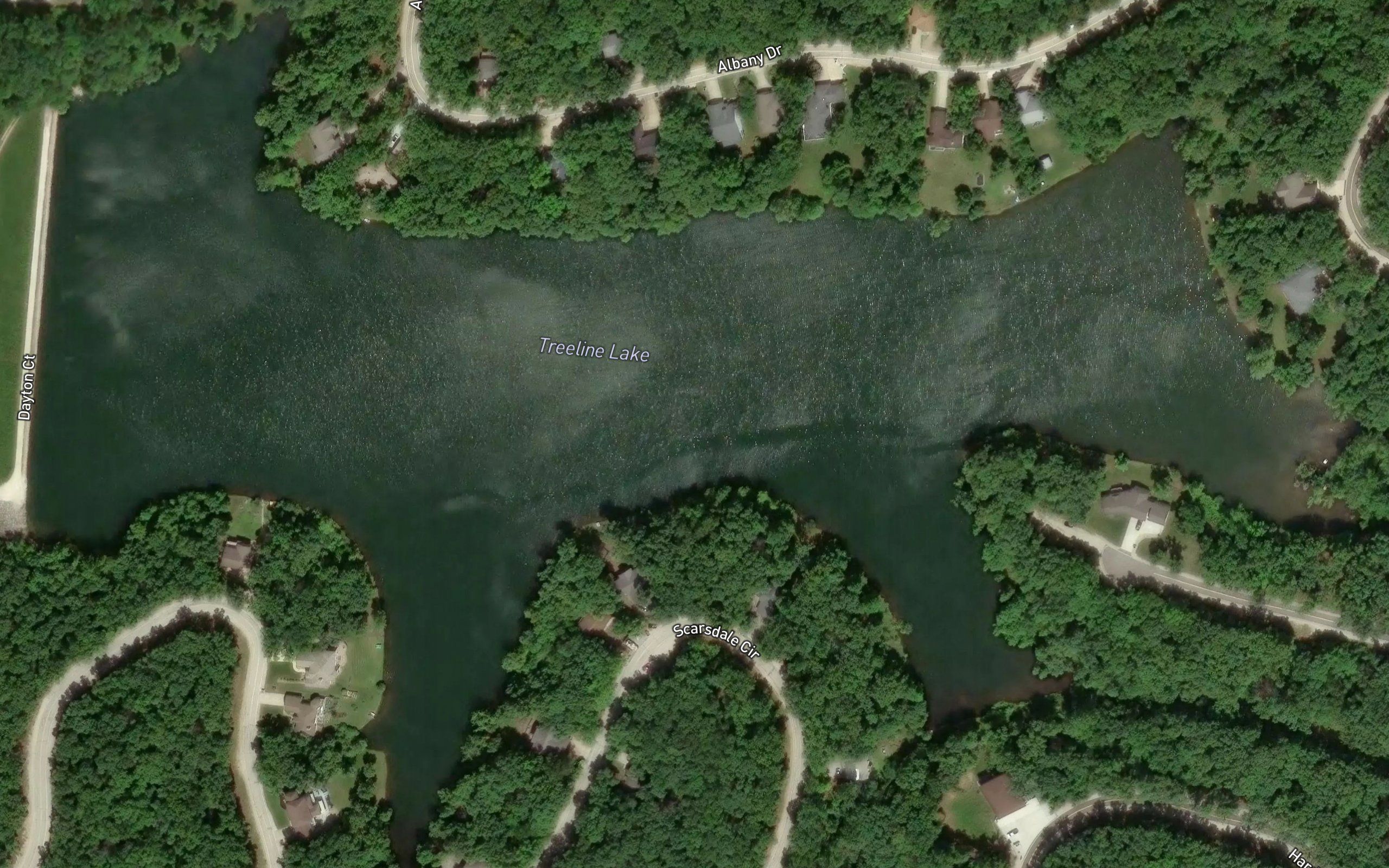 Treeline Lake