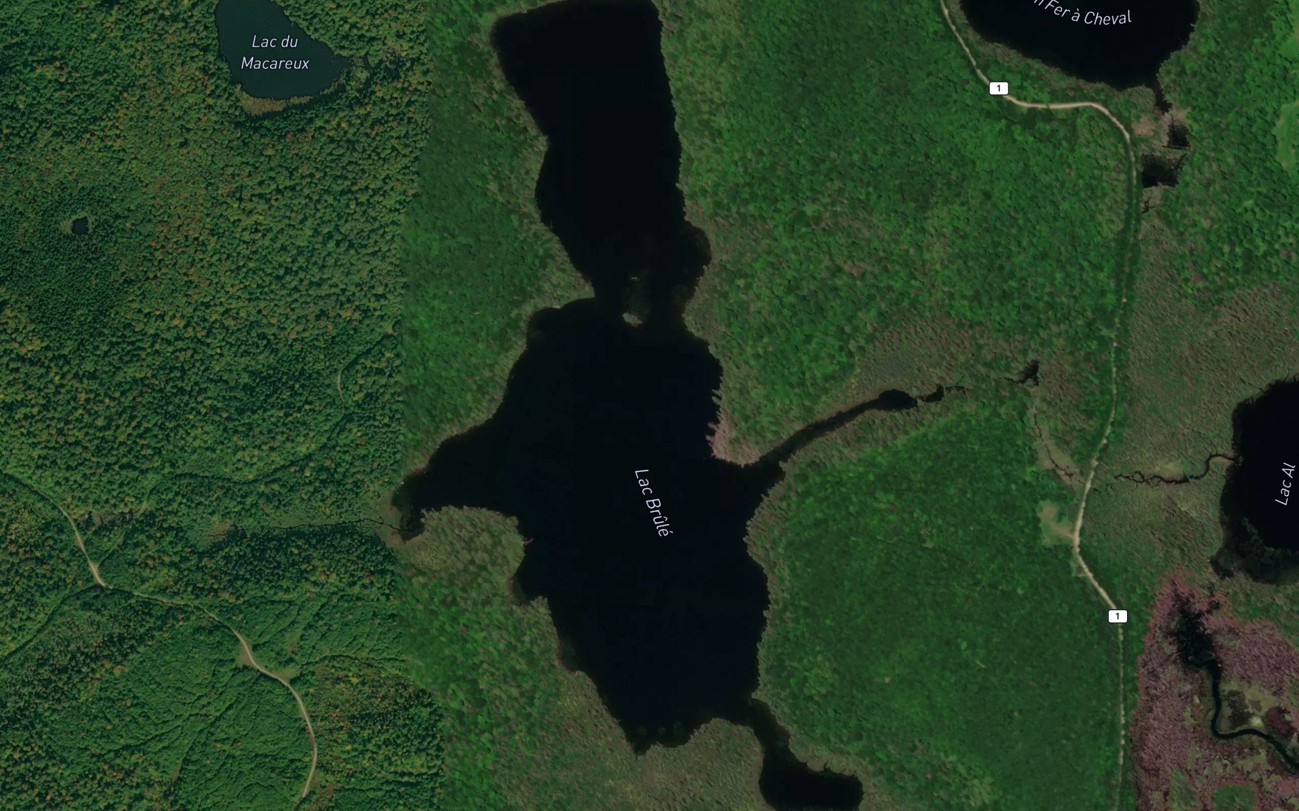 Lac Brule