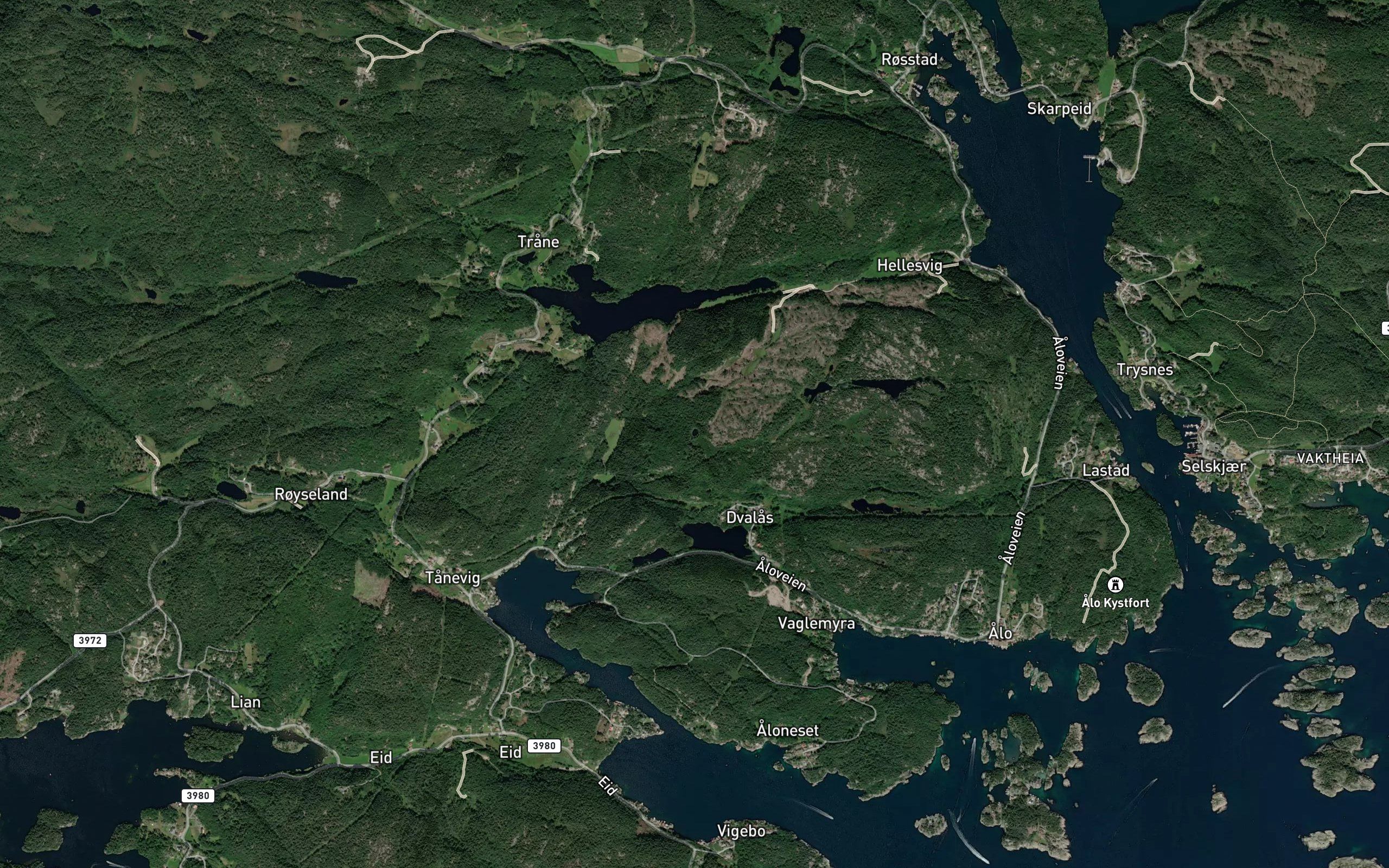 Foltjonna