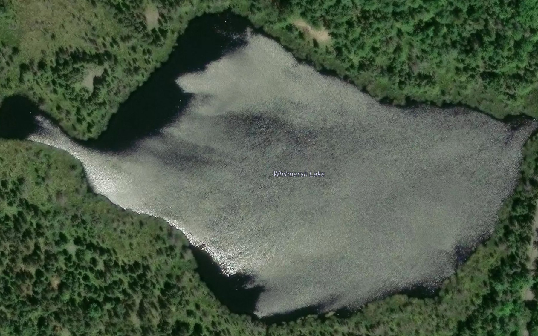 Satellite map of the Whitmarsh Lake