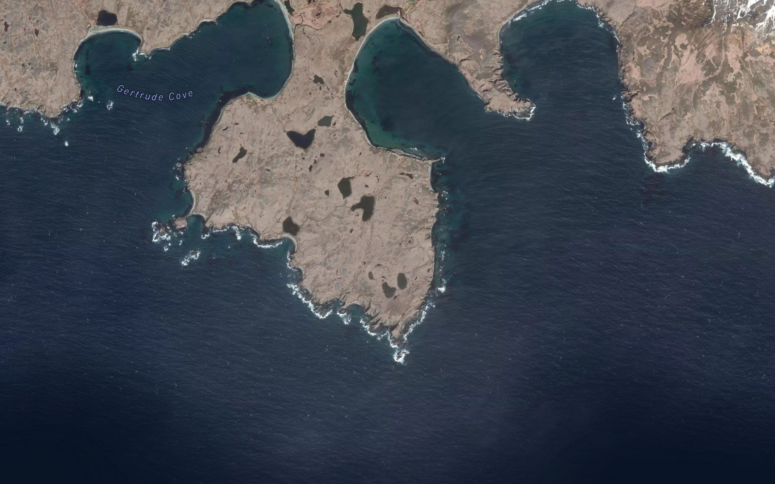 Genius Lake