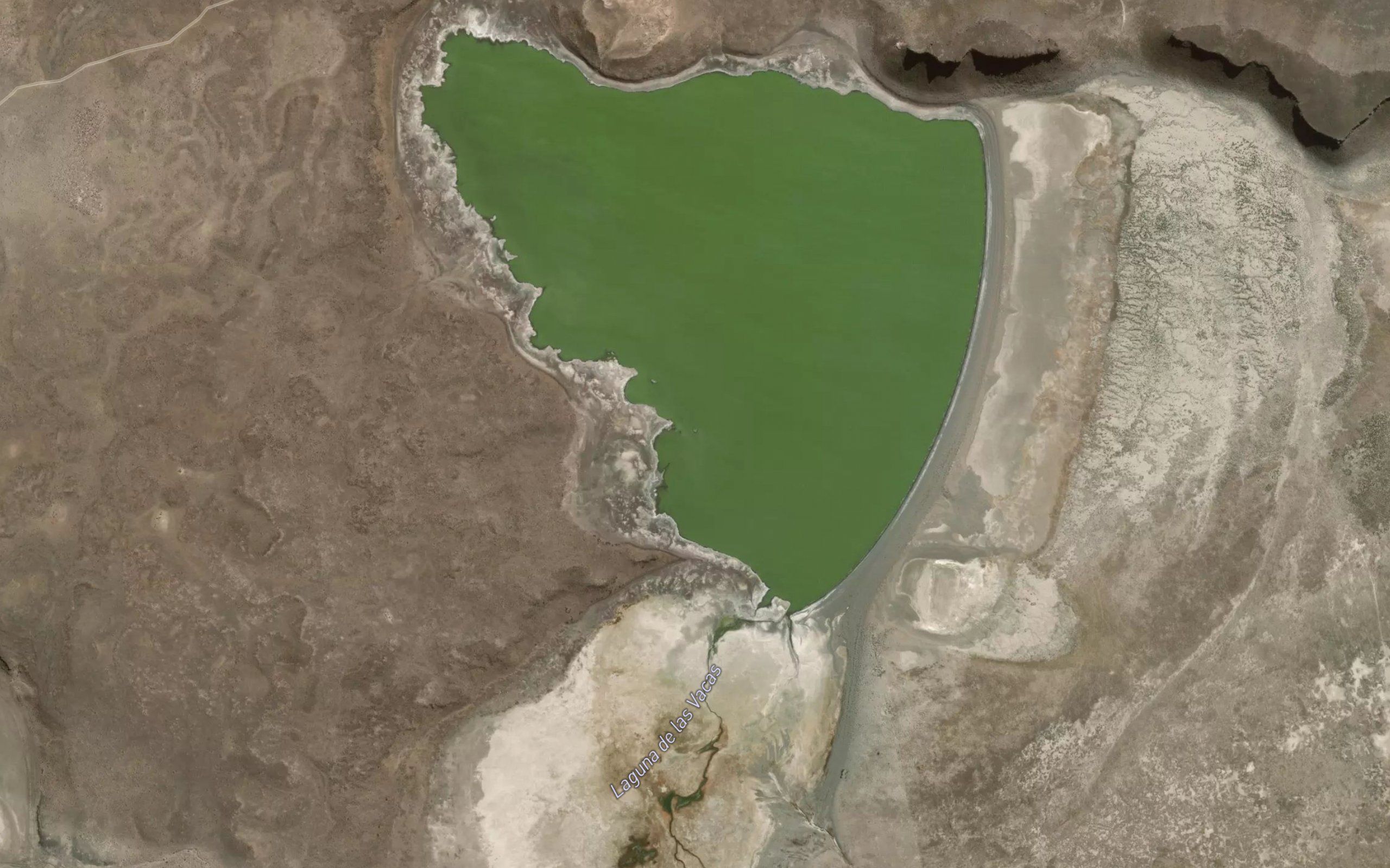 Laguna Las Vacas