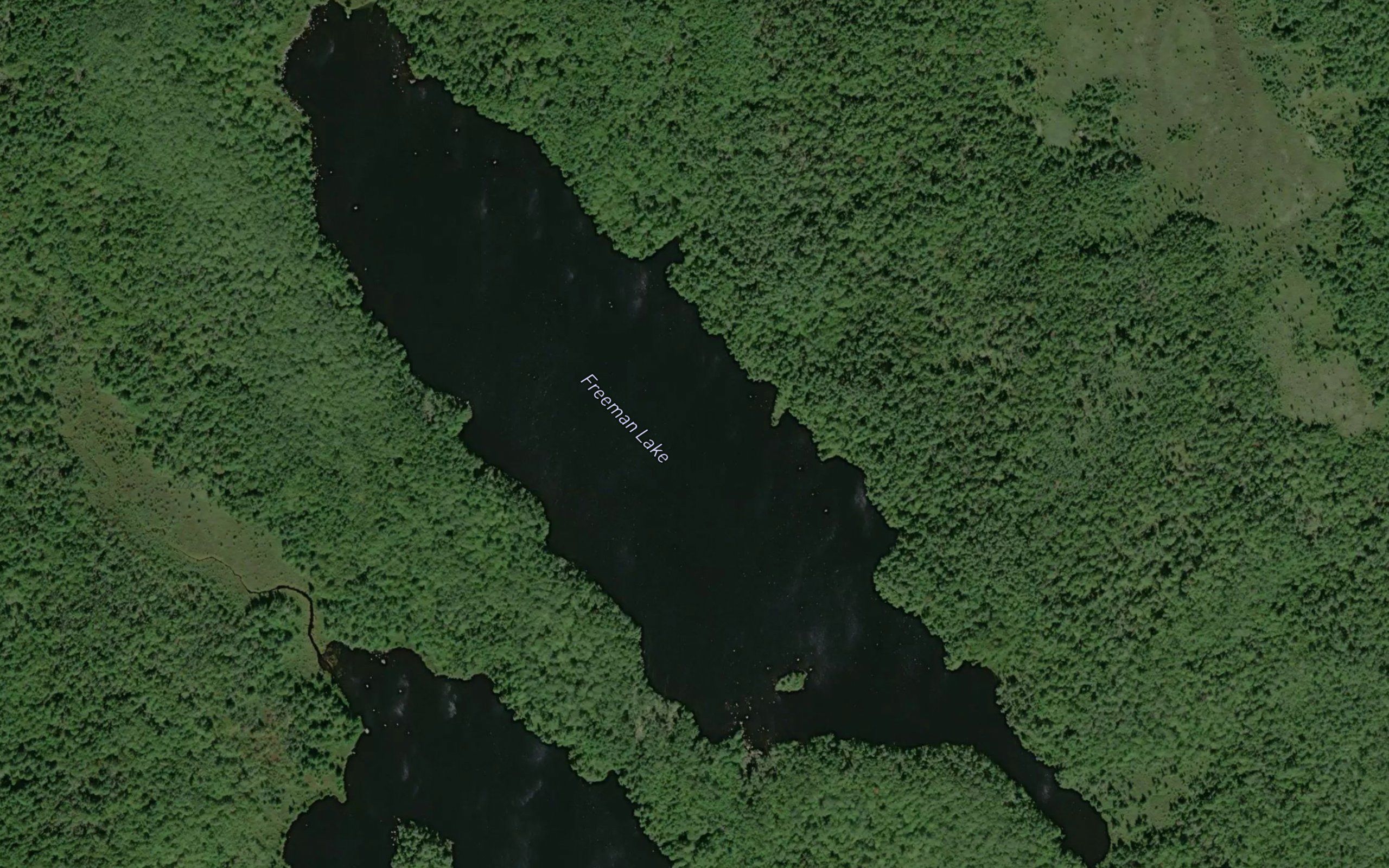 Freeman Lake