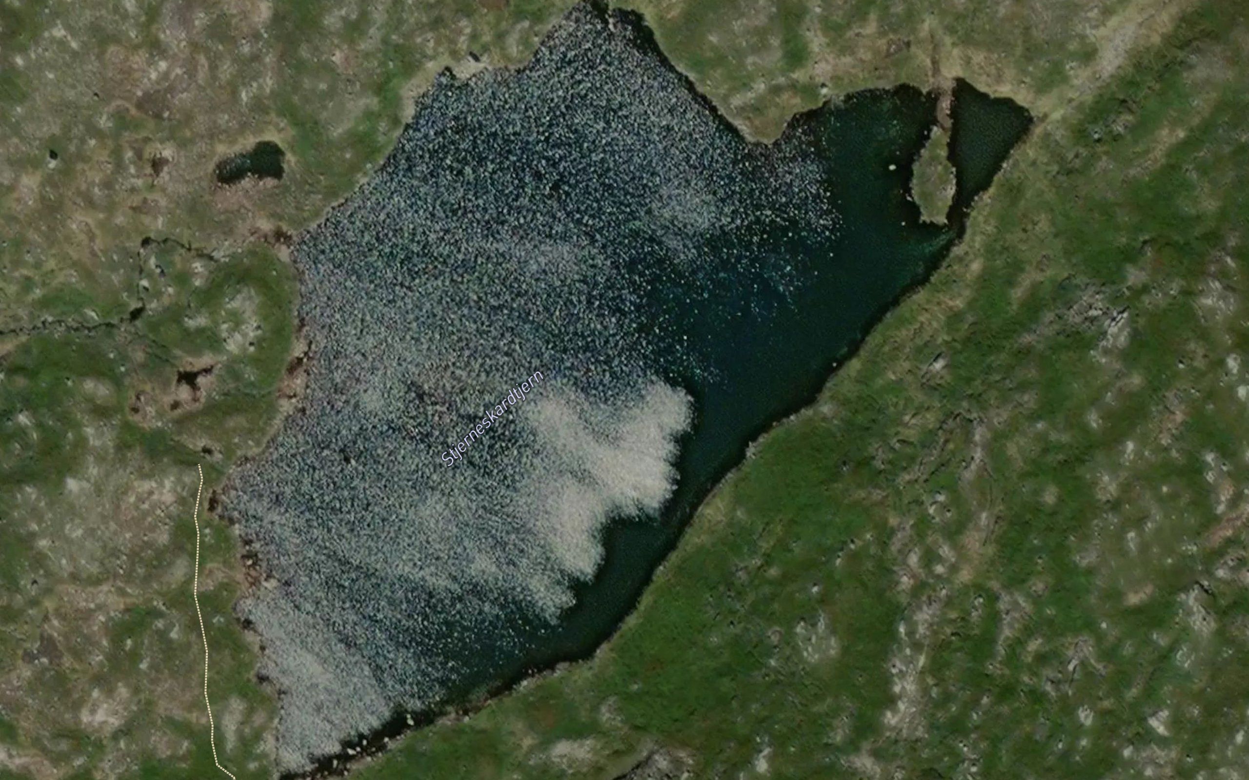 Stjerneskardtjern