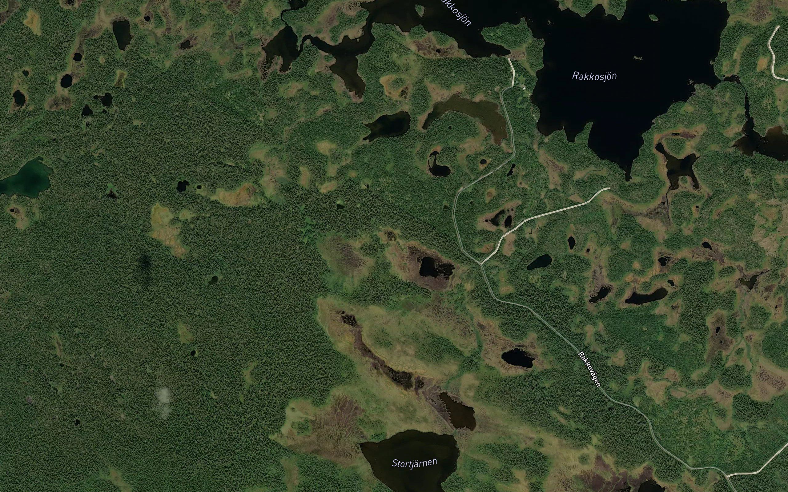 Stortjarn