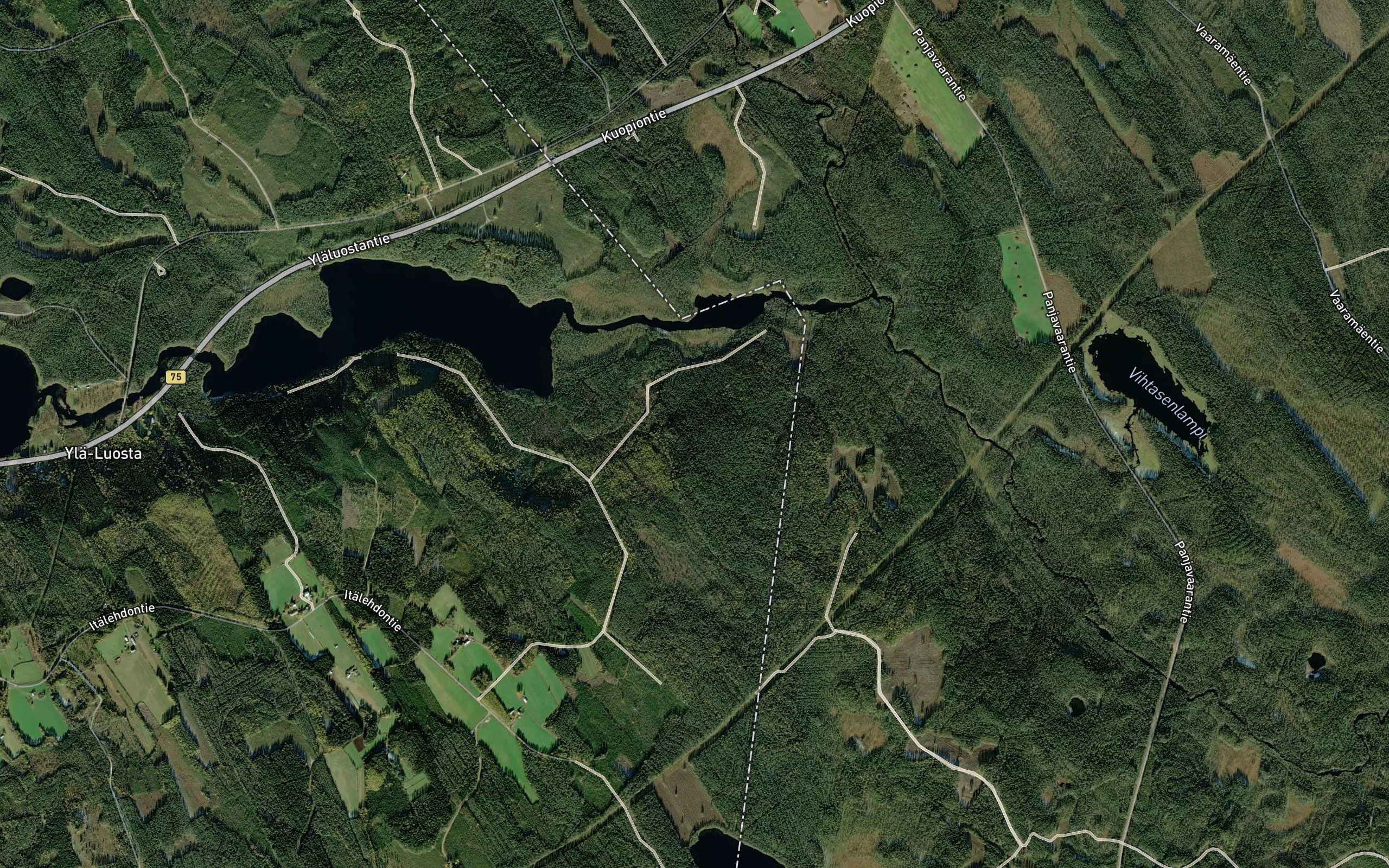 Vuoripuro