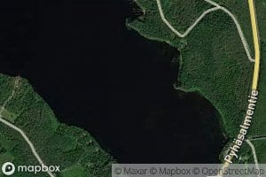 Pitkapohja
