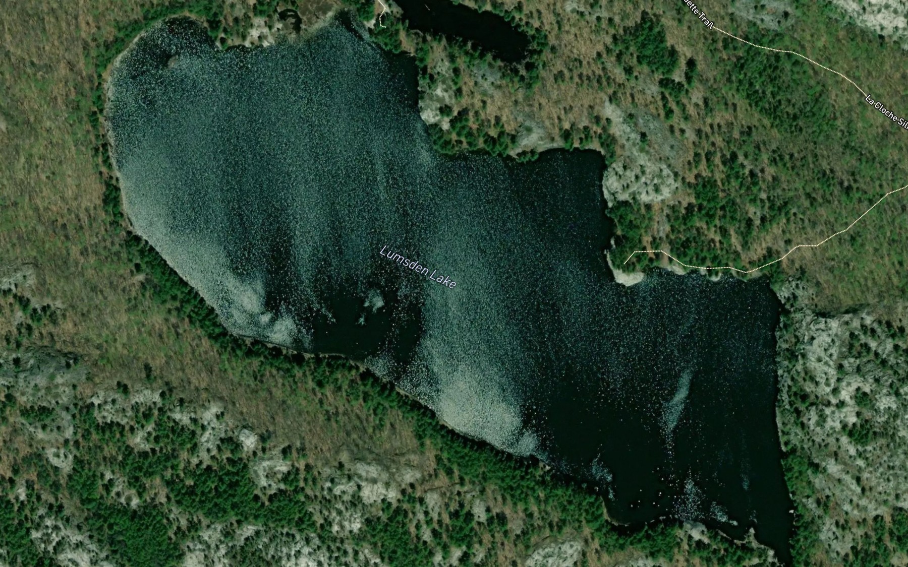 Satellite map of the Lumsden Lake