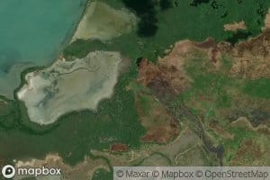 Boca del Rio Hicotea