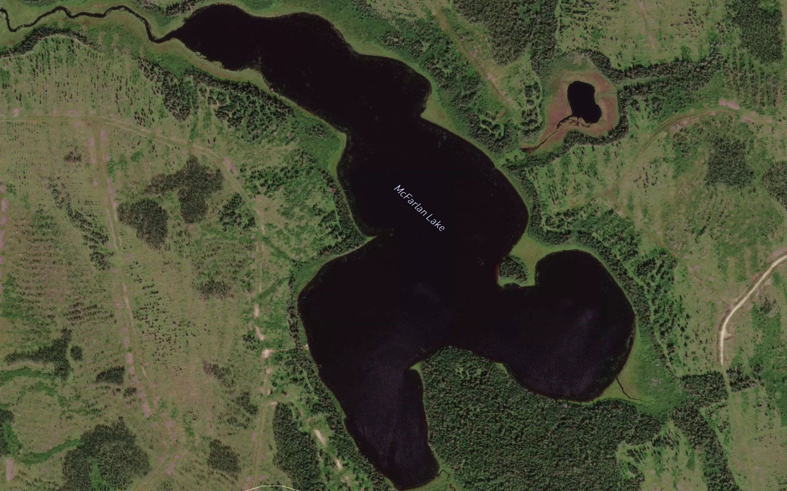 McFarlan Lake