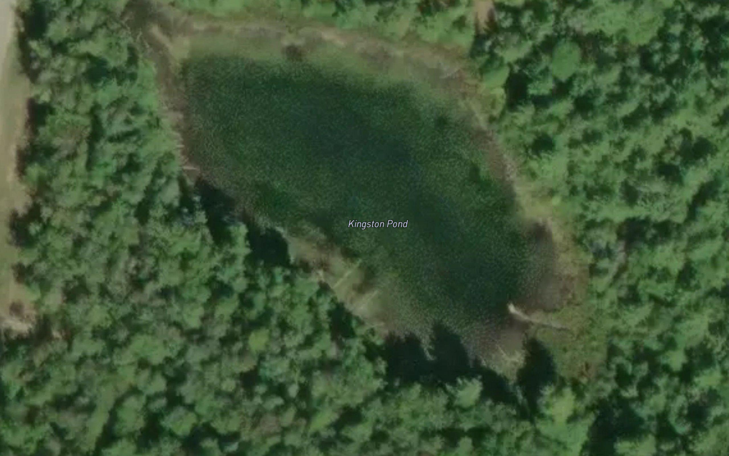 Kingston Pond