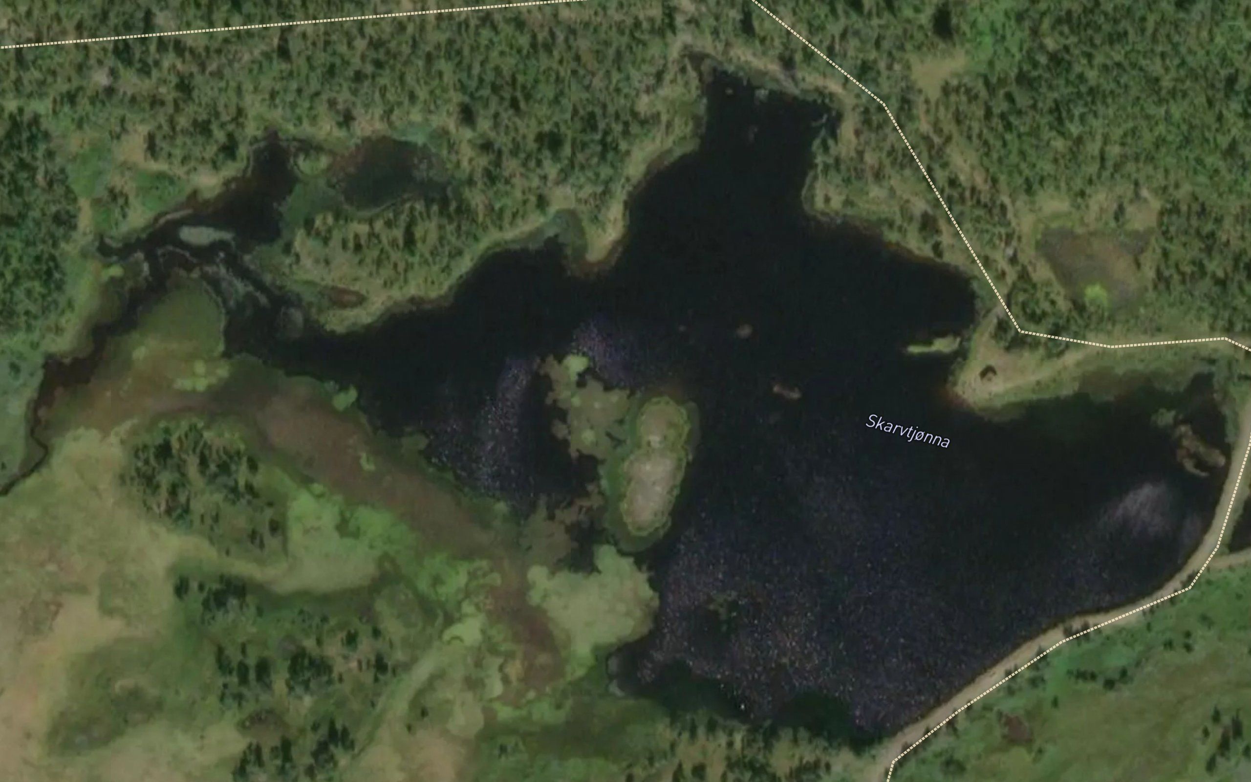 Skarvtjonna