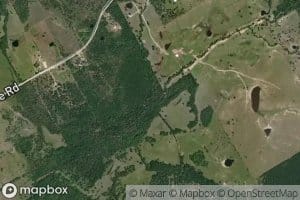 Mock Branch